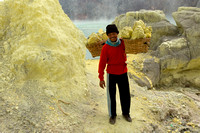 Sulphur Worker (5)