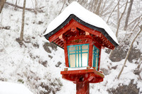 Japan in Winter