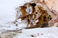 Mammoth Hot Springs (4)