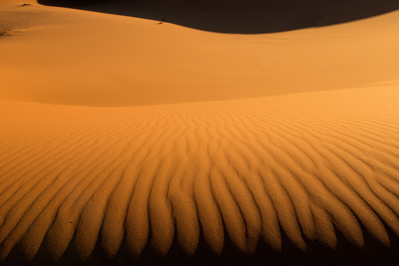 Saharan Dunes Detail 1