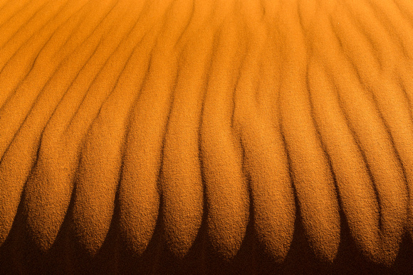 Saharan Dunes Detail 3