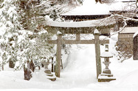 Takayama Temple I (6)