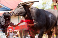 Indonesia - Toraja