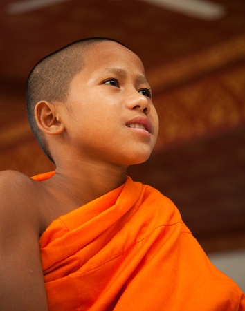 Novice Monk