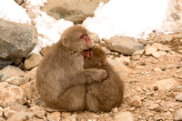 Mother and Child