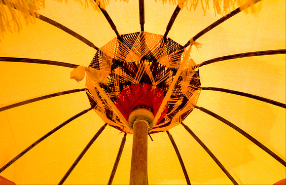Festival Umbrella