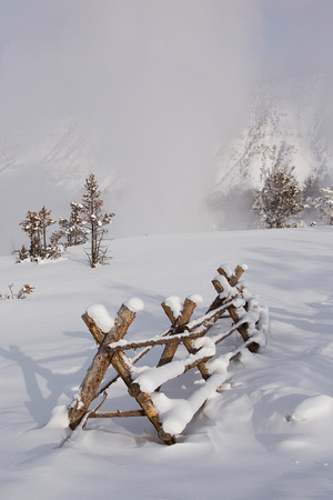 Snow Scenes (1)