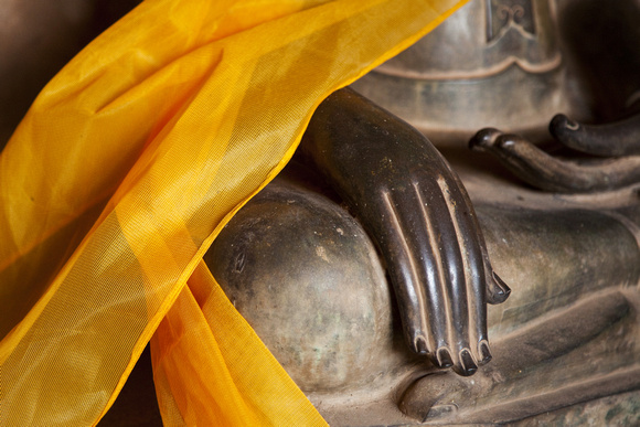 Buddha's Hand II