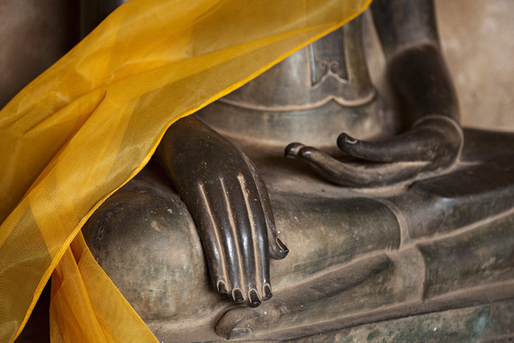 Buddha's Hand III