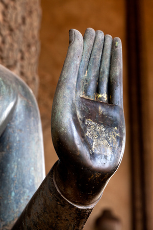 Buddha's Hand V