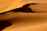 Saharan Dunes L5