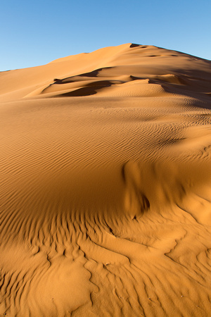 Saharan Dunes V1