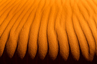 Saharan Dunes Detail 3