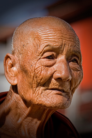 Portrait - Monk
