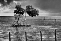 Belize - Caye Caulker (3)