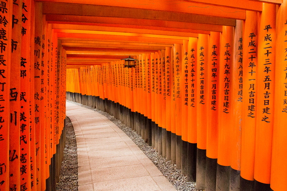 Fushimi Inari Torii (2)