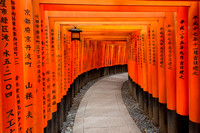 Fushimi Inari Torii (4)