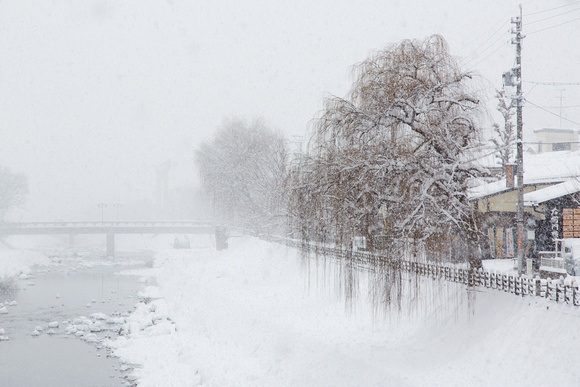 Takayama Riverside (3)