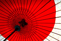 Traditional Umbrella (3)