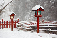 Nikko (4)