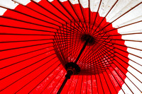 Traditional Umbrella (2)