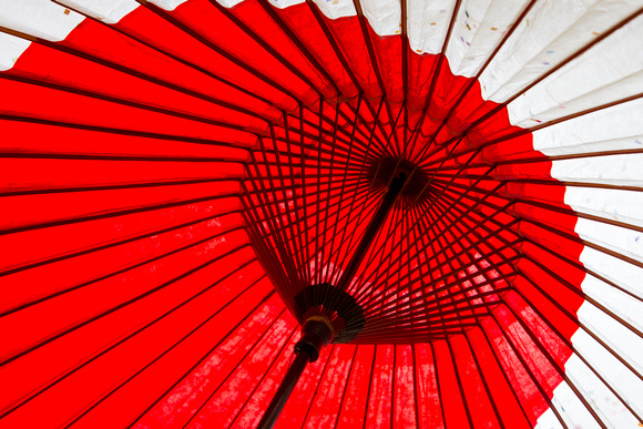 Traditional Umbrella (2)