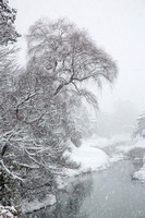 Takayama Riverside (1)