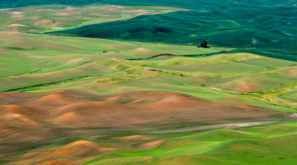 Palouse Patterns (2)