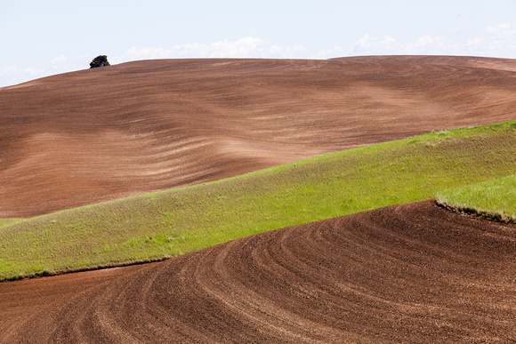 Palouse Green Brown (1)